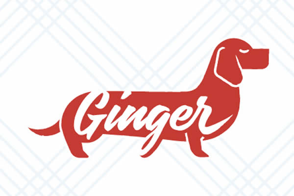 Ginger Grid Flexbox Grid