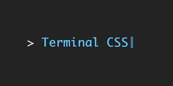 Terminal CSS