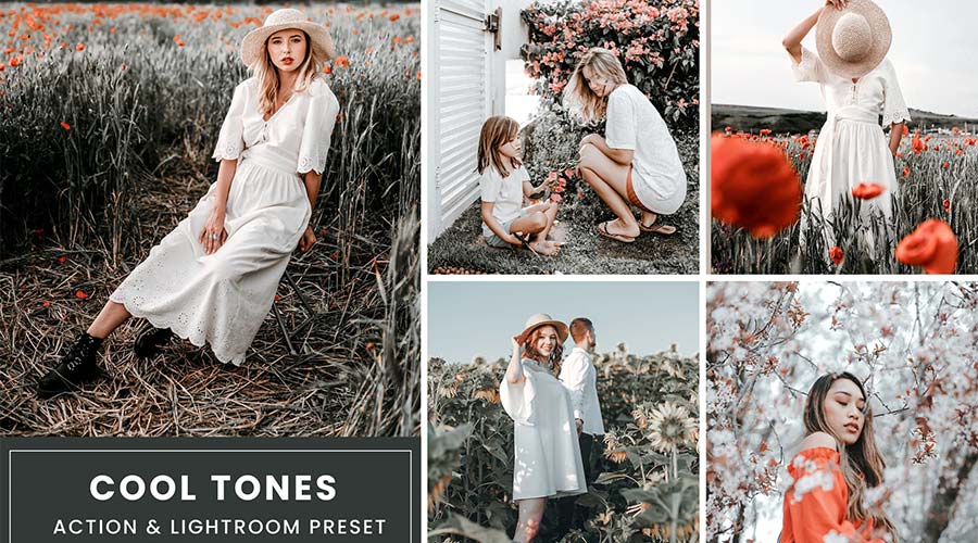 Cool Tone Color Grading Lightroom LUTs