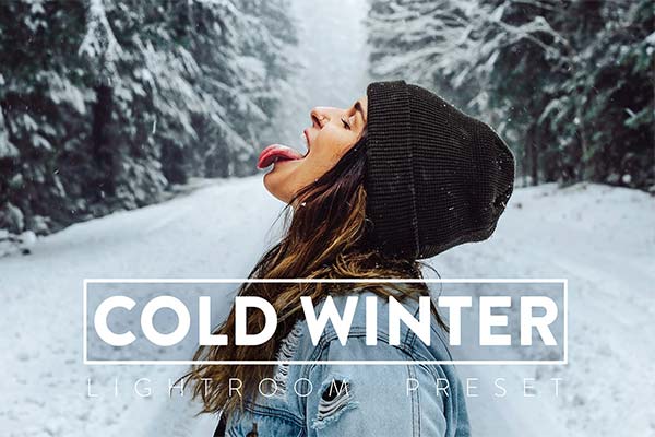 10 Winter Lightroom Preset