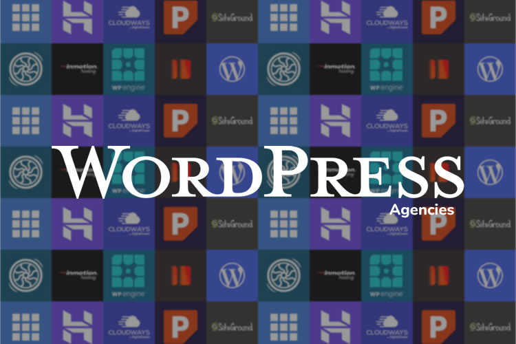 The 10 Best Hosting Packages for WordPress Agencies in 2025