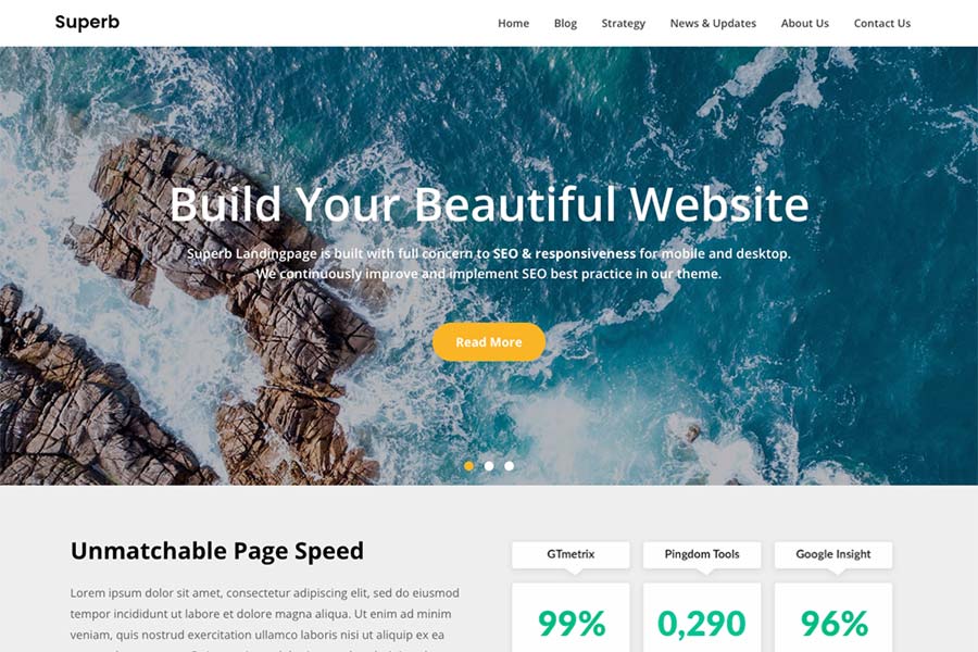 Superb Landingpage WordPress Theme