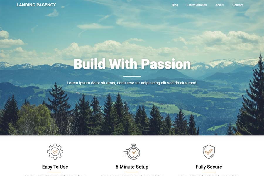 Landing Pagency WordPress Theme