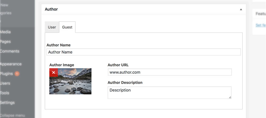 Guest Author WordPress Plugin