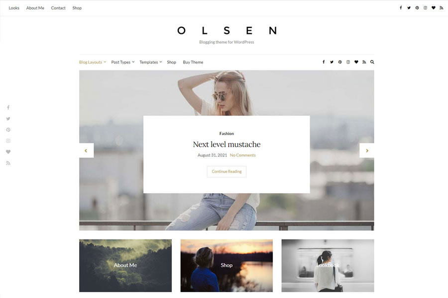  wordpress theme personal blog blogger blogging