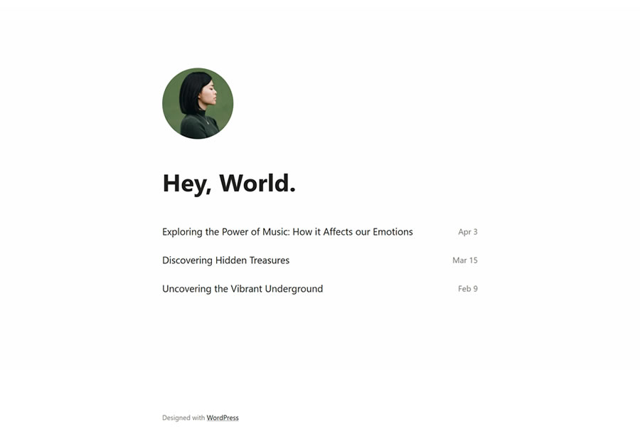 Hey simle wordpress theme personal blog blogger blogging