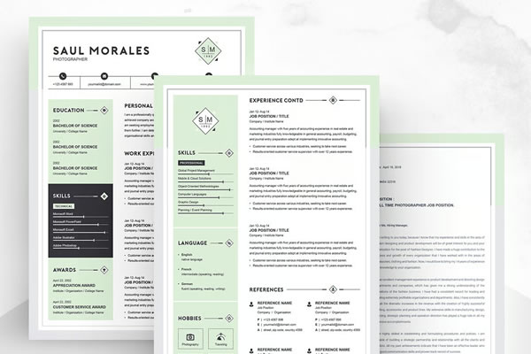Two-Column Modern Resume CV Template Microsoft Word