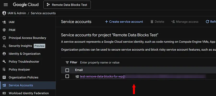 The generated email address of your Service Account